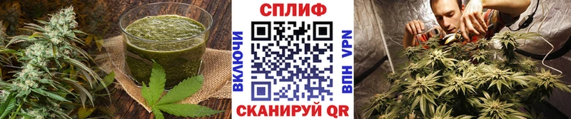 купить наркотики цена  Щёлково  Еда ТГК конопля 