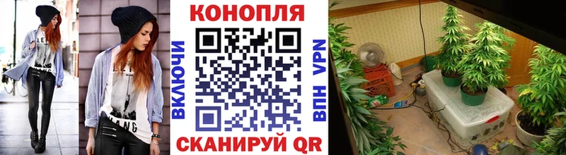 Канабис семена omg зеркало Щёлково